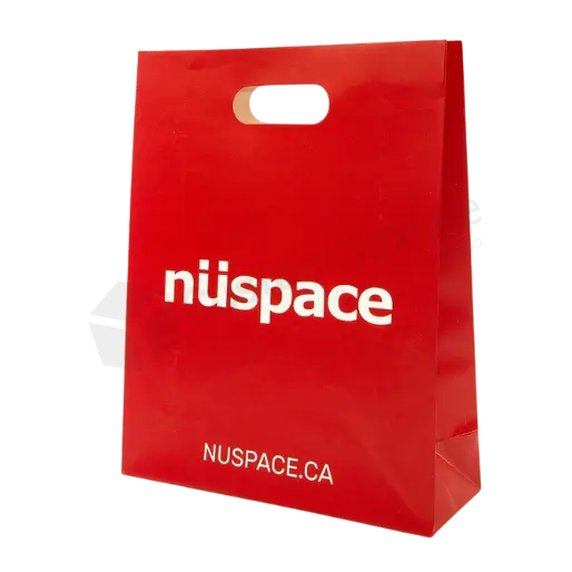 Printed Paper Carrier Bags